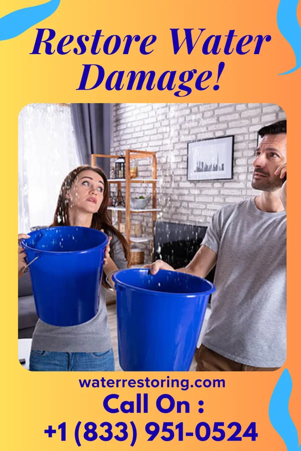 water restoration Stellar Cleanup Contractors Ravena