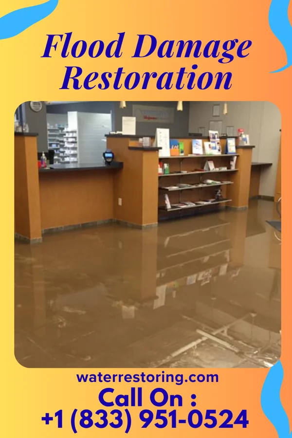 Flood Damage Restoration in Ravena, NY
