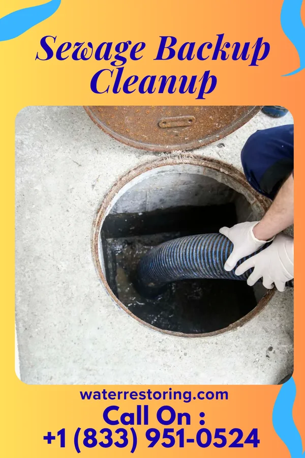 Sewage Backup Cleanup in Ravena, NY