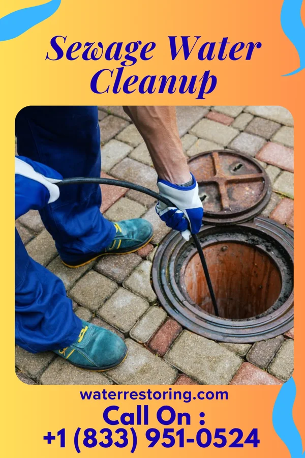 Sewage Water Cleanup in Ravena, NY